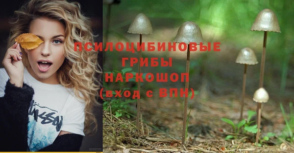 молекула духа Навашино